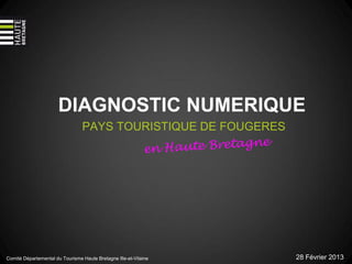 DIAGNOSTIC NUMERIQUE
                                 PAYS TOURISTIQUE DE FOUGERES




Comité Départemental du Tourisme Haute Bretagne Ille-et-Vilaine   28 Février 2013
 