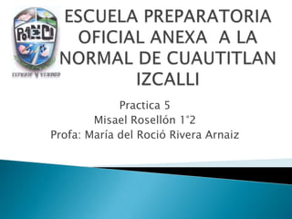 Practica 5
Misael Rosellón 1°2
Profa: María del Roció Rivera Arnaiz
 