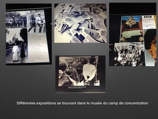 Différentes expositions se trouvant dans le musée du camp de concentration
 