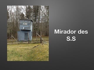 Mirador des
S.S
 