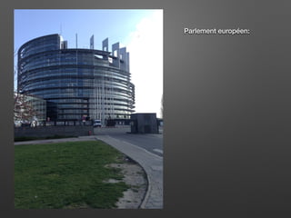 Parlement européen:
 