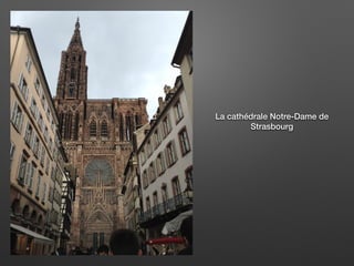 La cathédrale Notre-Dame de
Strasbourg
 