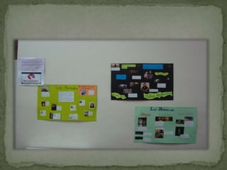 Présentation boreales