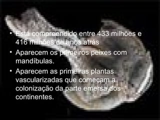 Silúrico  Está compreendido entre 433 milhões e 416 milhões de anos atrás Aparecem os primeiros peixes com mandíbulas. Aparecem as primeiras plantas vascularizadas que começam a colonização da parte emersa dos continentes. 
