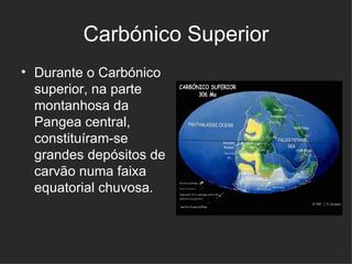 Carbónico Superior Durante o Carbónico superior, na parte montanhosa da Pangea central, constituíram-se grandes depósitos de carvão numa faixa equatorial chuvosa.     