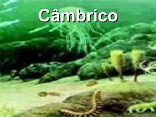 Câmbrico 