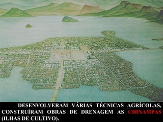 DESENVOLVERAM VÁRIAS TÉCNICAS AGRÍCOLAS,
CONSTRUÍRAM OBRAS DE DRENAGEM AS CHINAMPAS
(ILHAS DE CULTIVO).

 