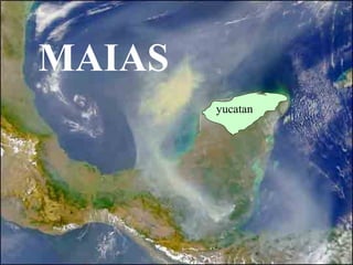 MAIAS
yucatan

 