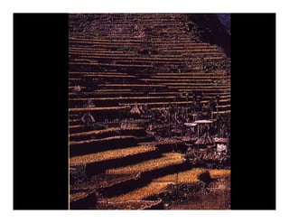 Pré colombianos: maias, astecas, incas