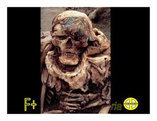 Pré colombianos: maias, astecas, incas