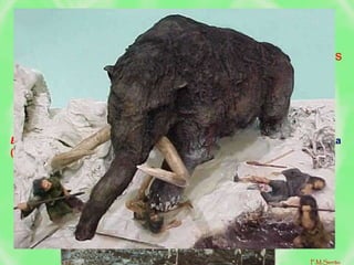 • Caça de animais de grande porte – Homo sapiens
• Ajuda a desenvolver a técnica.
• Aumenta a capacidade de organização social.
Os Grandes Caçadores
Economia de caça – vida nómada, recolecção de produtos da natureza
(economia recolectora).
Caça em grupo (paleolítico superior).
Caça de grandes herbívoros (mamutes e bisontes).
Uso de ossos e peles para o vestuário e abrigos.
Desenvolvimento da linguagem articulada e da inteligência.
F.M.Serrão
 