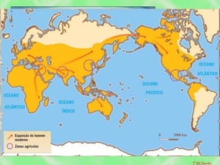 • O crescimento populacional leva ao alargamento
das áreas habitadas (havia melhor alimentação,
novos instrumentos, fogo).
Alargamento das áreas habitadas
Deslocação do homem
para a
Europa
Ásia
América
Oceânia (no final do
Paleolítico)
Organização Social – Surge devido à necessidade de cooperação
entre os elementos da comunidade.
Divisão de Tarefas por: sexo, idade, capacidade.
F.M.Serrão
 