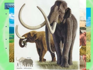 • Sobe a temperatura média e recuam os gelos para os
pólos.
• Alguns animais extinguem-se, outros acompanham os
gelos.
• Surgem novas espécies (ex. gramíneas).
• O Homem observa o ciclo das plantas.
Mesolítico – c. 10.000 a.c.
Torna-se agricultor
Sedentariza-se
F.M.Serrão
 