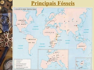 Principais Fósseis 
