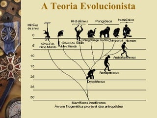 A Teoria Evolucionista 