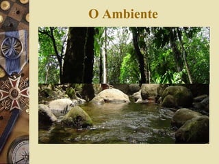 O Ambiente 