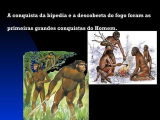 A conquista da bipedia e a descoberta do fogo foram as
primeiras grandes conquistas do Homem.

 