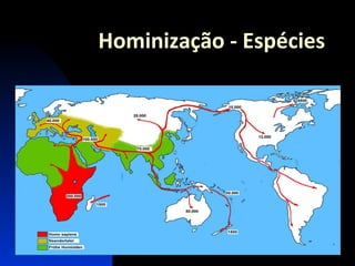 Hominização - Espécies

 