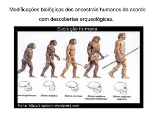 Modificações biológicas dos ancestrais humanos de acordo
com descobertas arqueológicas.

 