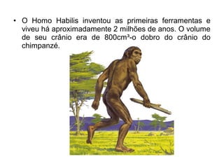 • O Homo Habilis inventou as primeiras ferramentas e
viveu há aproximadamente 2 milhões de anos. O volume
de seu crânio era de 800cm³-o dobro do crânio do
chimpanzé.

 