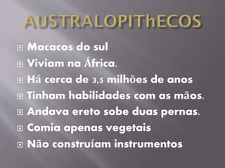  Macacos do sul
 Viviam na África.
 Há cerca de 3,5 milhões de anos
 Tinham habilidades com as mãos.
 Andava ereto sobe duas pernas.
 Comia apenas vegetais
 Não construíam instrumentos
 