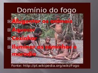  Afugentar os animais
 Aquecer
 Cozinhar
 Iluminar os caminhos e
moradia
 