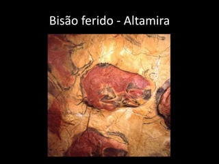 Bisão ferido - Altamira 
 
