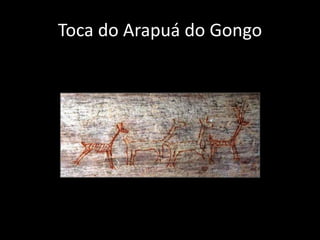Toca do Arapuá do Gongo 
 