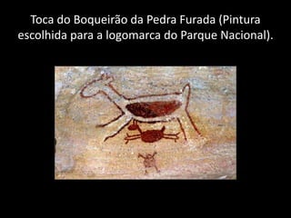 Toca do Boqueirão da Pedra Furada (Pintura 
escolhida para a logomarca do Parque Nacional). 
 