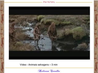 Vídeo - Animais selvagens – 3 min
 