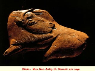 Bisão - Mus. Nac. Antig. St. Germain em Laye
 