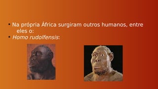 • Na própria África surgiram outros humanos, entre
eles o:
• Homo rudolfensis:
 