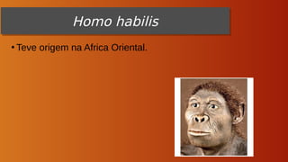 Homo habilis
●
Teve origem na Africa Oriental.
Homo habilis
Homo habilis
 