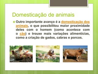 Domesticação de animais
 Outro importante avanço é a domesticação dos
animais, o que possibilitou maior proximidade
deles com o homem (como acontece com
o cão) e trouxe mais variações alimentícias,
como a criação de gados, cabras e porcos.
 