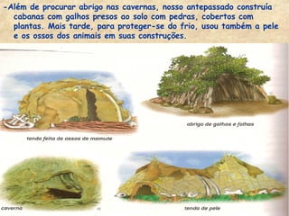 -Além de procurar abrigo nas cavernas, nosso antepassado construía
  cabanas com galhos presos ao solo com pedras, cobertos com
  plantas. Mais tarde, para proteger-se do frio, usou também a pele
  e os ossos dos animais em suas construções.
 