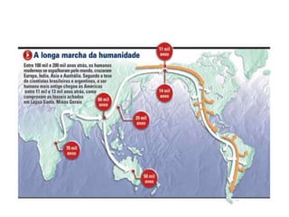 Pré   história brasileira