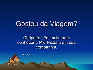 Gostou da Viagem? Obrigado ! Foi muito bom conhecer a Pré-História em sua companhia. TCHAU! 