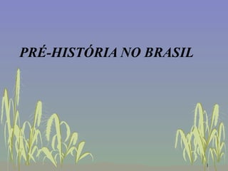 PRÉ-HISTÓRIA NO BRASIL 