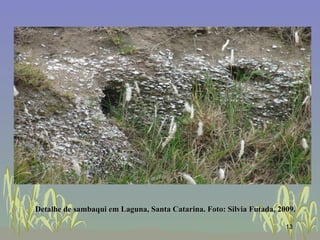 Detalhe de sambaqui em Laguna, Santa Catarina. Foto: Silvia Futada, 2009.   