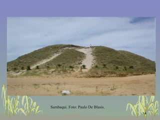 Sambaqui. Foto: Paulo De Blasis.   