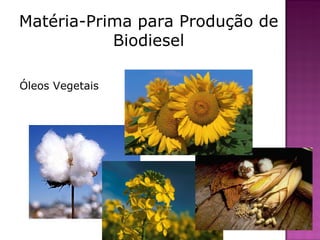 Matéria-Prima para Produção de Biodiesel Óleos Vegetais 