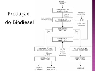 Produção  do Biodiesel 