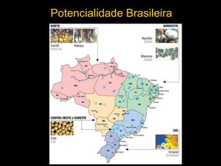 Potencialidade Brasileira 