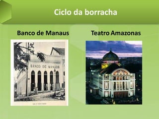 Ciclo da borracha

Banco de Manaus    Teatro Amazonas
 
