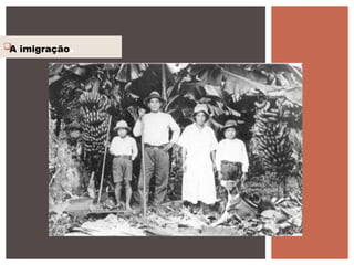 A imigração.
 