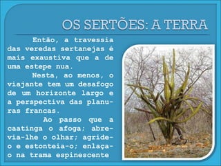 Então, a travessia das veredas sertanejas é mais exaustiva que a de uma estepe nua. Nesta, ao menos, o viajante tem um desafogo de um horizonte largo e a perspectiva das planu-ras francas. Ao passo que a caatinga o afoga; abre-via-lhe o olhar; agride-o e estonteia-o; enlaça-o na trama espinescente 