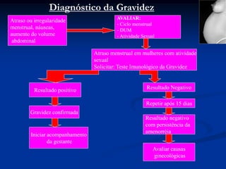 Diagnóstico da Gravidez
                                          AVALIAR:
Atraso ou irregularidade
                                          - Ciclo menstrual
menstrual, náuseas,                       - DUM
aumento do volume                         - Atividade Sexual
 abdominal

                                 Atraso menstrual em mulheres com atividade
                                 sexual
                                 Solicitar: Teste Imunológico da Gravidez



          Resultado positivo                            Resultado Negativo

                                                        Repetir após 15 dias
        Gravidez confirmada
                                                       Resultado negativo
                                                       com persistência da
                                                       amenorréia
        Iniciar acompanhamento
                da gestante
                                                           Avaliar causas
                                                           ginecológicas
 