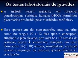 Os testes laboratoriais de gravidez
   A maioria testes realiza-se em presença
    gonadotropina coriônica humana (HCG) hormônios
    placentários produzido pelas vilosidades coriônicas.

   Esse aparece em alta concentração, tanto na urina
    como no sangue 10 a 12 dias após a concepção,
    atingindo o pico elevado, por volta 8ª a 10ª semana de
    gestação, depois  lentamente, atingindo um nível
    baixo entre 14ª e 18ª semana, mantendo-se assim até
    ocorrer à separação da placenta, quando desaparece
    esta função.
 