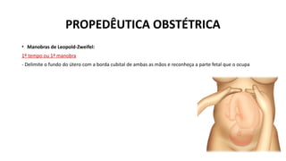 PROPEDÊUTICA OBSTÉTRICA
• Manobras de Leopold-Zweifel:
1º tempo ou 1ª manobra
- Delimite o fundo do útero com a borda cubital de ambas as mãos e reconheça a parte fetal que o ocupa
 