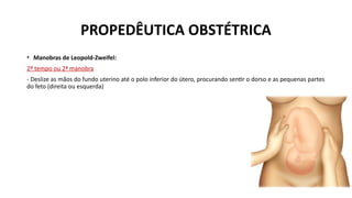 PROPEDÊUTICA OBSTÉTRICA
• Manobras de Leopold-Zweifel:
2º tempo ou 2ª manobra
- Deslize as mãos do fundo uterino até o polo inferior do útero, procurando sentir o dorso e as pequenas partes
do feto (direita ou esquerda)
 